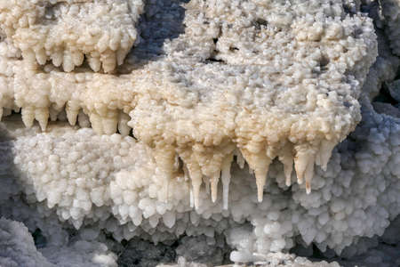 Salt crystals stalactites of the Dead Sea close-upの写真素材