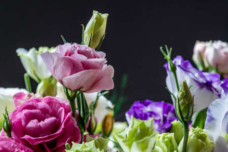 Multicolor Prairie gentian Lisianthus Eustoma flowers bouquet closeupの写真素材