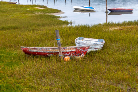 Old wooden fishing boat on the green grass on the shore of the sea bayの写真素材
