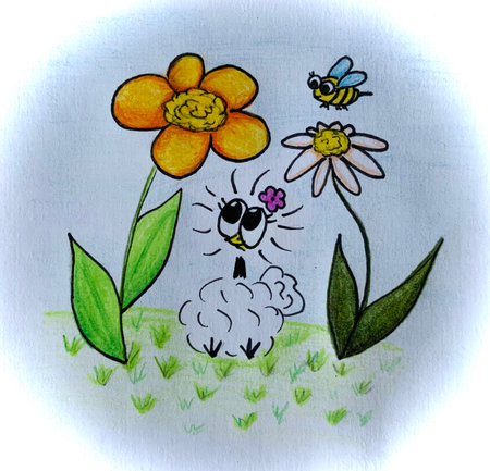 Little barnacle showgirl between flowersの写真素材