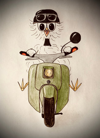 motorcycle chickenの写真素材