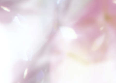 Background Texture Prism Light Rainbow Overlay Sunlight Glitterの写真素材