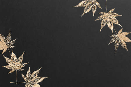 Autumn leaves frame gold leaf maple background textureの写真素材