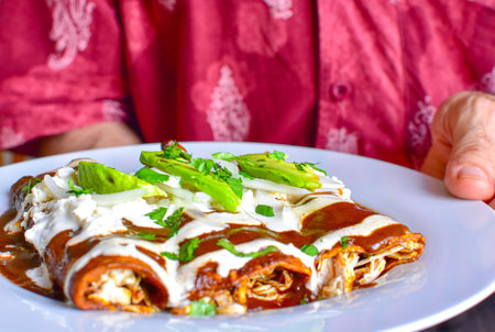 Delicious enchiladas of great Mexican food, mole and cheese,typical mexican food.