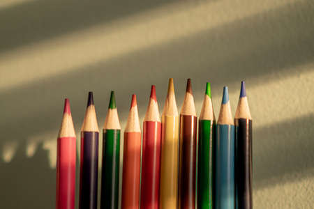 Colored pencils in a row illuminated by sunlight and a white wall in the background.の写真素材