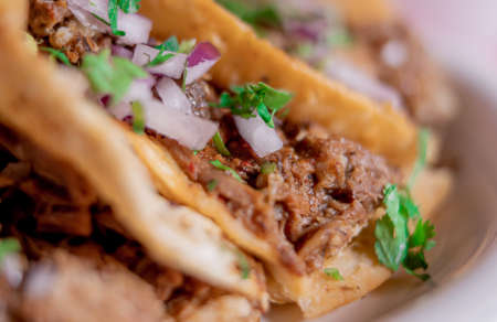 Delicious Mexican birria tacos with coriander and onion on top in close up concept.の写真素材