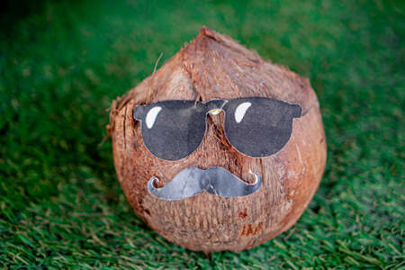 Coconut with glasses and black paper mustache on floor with grass in close up concept.の写真素材