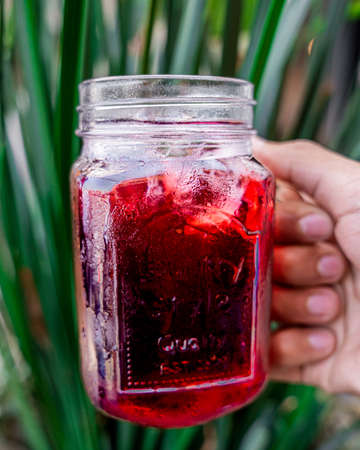 Refreshing Mexican Jamaican drink, served in a crystal glass, with a green bush in the background.の写真素材