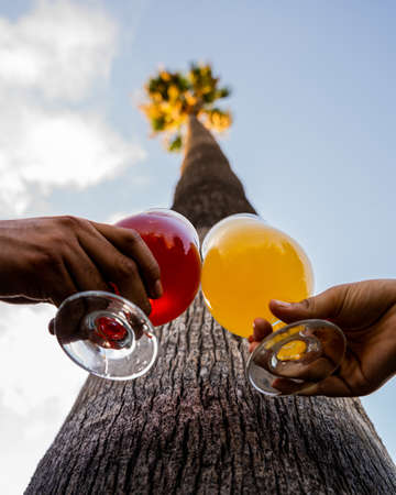 two hands toasting with two cold craft beers of different colors and styles with a background of a beach style palm tree in summer time.の写真素材
