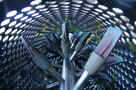 stemmers, wine, equipment, harvest, grapes, performance, wheel, technical
