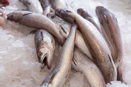 fish for frying on a fish farmerの写真素材