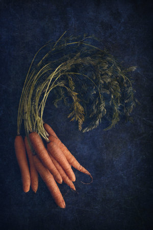 pile of carrots on a textured background for decoration