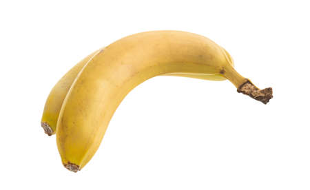 Two bananas linked on White backgroundの写真素材