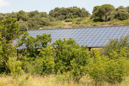 Large solar panel in nature for green energy