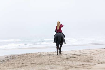 young woman on a horse on the beach on a cloudy dayの写真素材