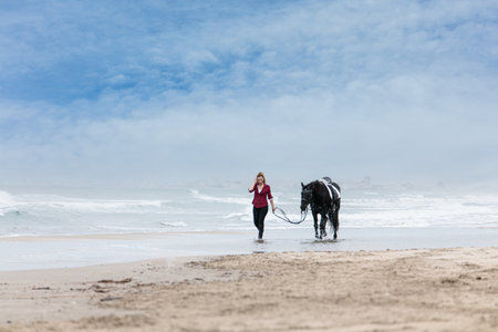 young woman on a horse on the beach on a cloudy dayの写真素材
