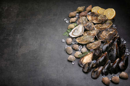 Shell, mussel, oyster, clam, sea snail on black background with space for writingの写真素材