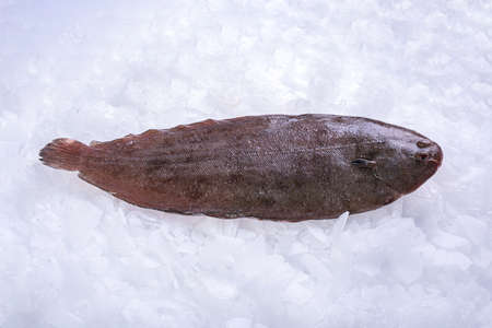 Fresh sole in ice at a fishmonger'sの写真素材