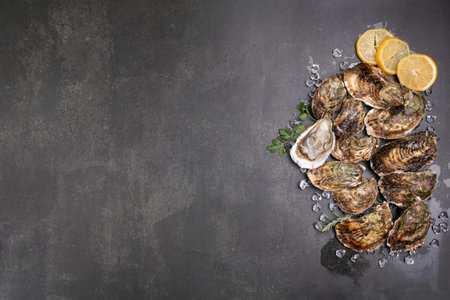 Several oysters with a lemon on a dark background with space for writingの写真素材