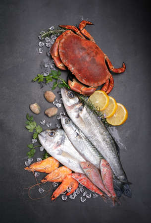 Several fishes, crab and shells on a black backgroundの写真素材