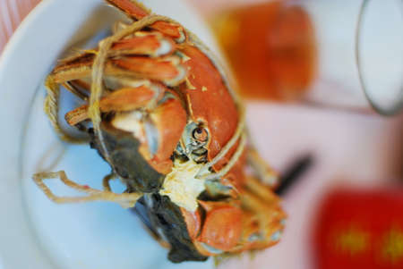 Hairy crabsの写真素材