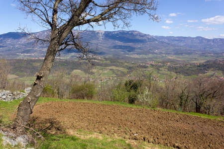 Vipava Valley Slovenia in early springの写真素材