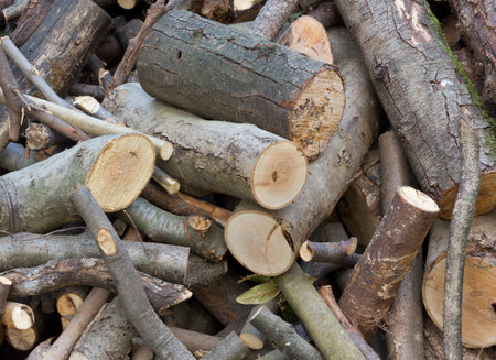 Close-up on a pile of woods