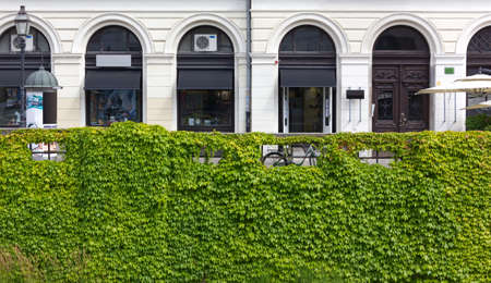 Pedestrian street next to an ivy covered river bank in Ljubljana, Sloveniaの写真素材