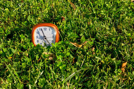 Orange alarm clock on a grass textureの写真素材