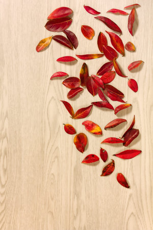 Red autumn leaves scattered across a wooden background