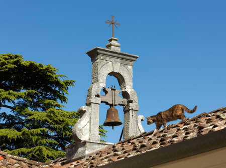 Cat on the roof of a church next to the small bell towerの写真素材