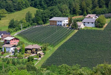 RIMSKE TOPLICE, Slovenia - July 31, 2019: Farm among green hills