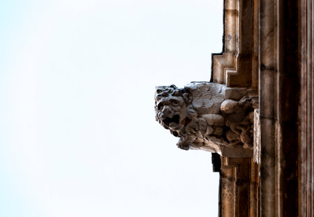 Shot in color detail on the facade of this historic building representing some character, animal or flower. Set at LeÃ³n, Spain, Europeの写真素材