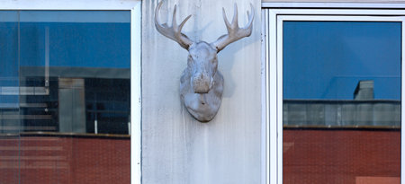 Statue of a deer with antlers on the facade of a buildingの写真素材