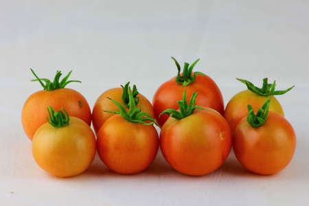 Australian cherry tomatoesの写真素材