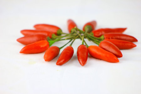 Red chilli circular white background