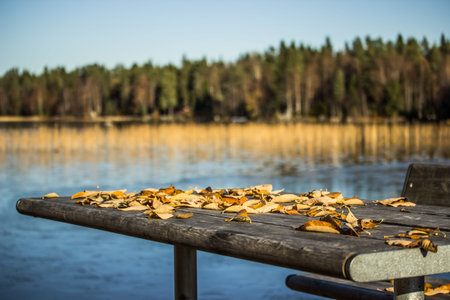 Table with Fall Leaves