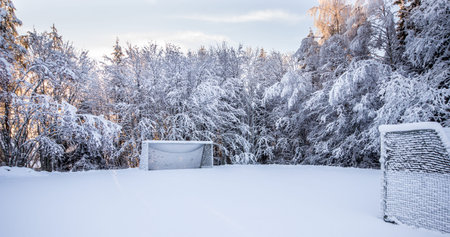 Soccer Pirch in Winterの写真素材