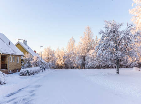 Subarban City Street in Swedenの写真素材