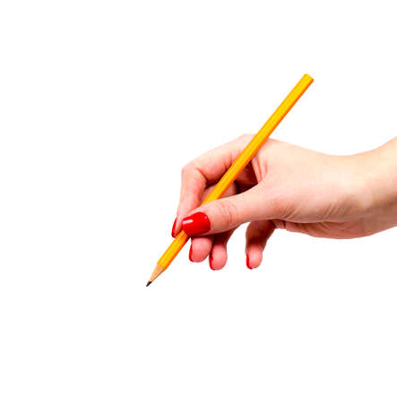 Female Hand Holding Yellow Pencilの写真素材