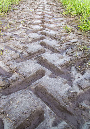 Tractor Track in mud trailing away.の写真素材