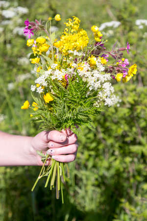Woman Holding bouquet of Summer Flowersの写真素材