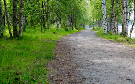Gravel Road in Umea, Swedenの写真素材