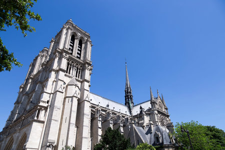 Notre-Dame Cathedral in Paris, Franceの写真素材