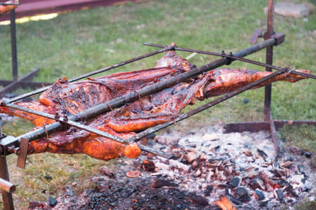 Barbecuing Entire Lamb on steal frame.の写真素材
