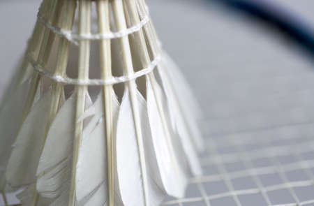 Shuttlecock on Badminton Racketの写真素材