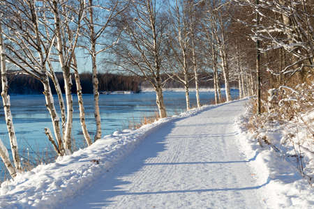Winter Landscape in Umea, Swedenの写真素材