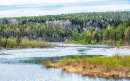 Umea, River with Forest and a cloudy sky.の写真素材