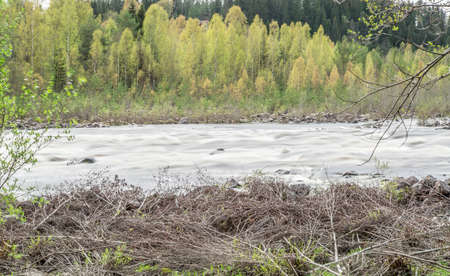 Umea, River in Sweden with Forest.の写真素材