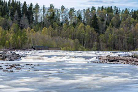 Umea River in Baggbole, Sweden with trees.の写真素材